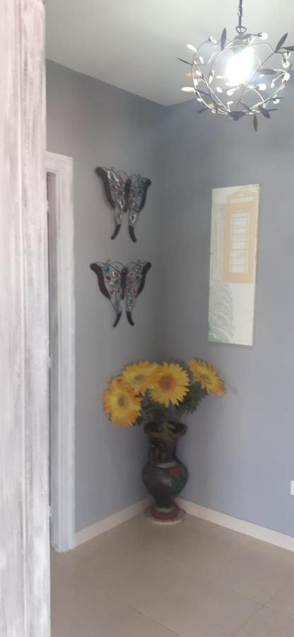 Couso Apartamentos Puerto De Aguino מראה חיצוני תמונה